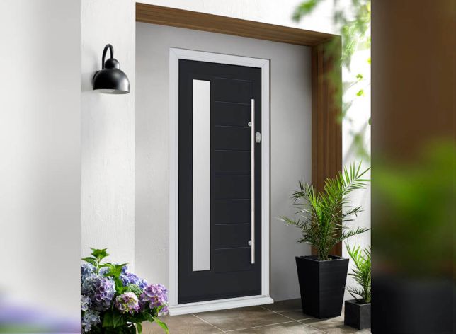 Silverstone Black Contemporary Door